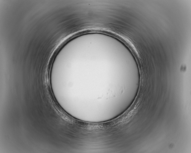 X0000096490887200801241208