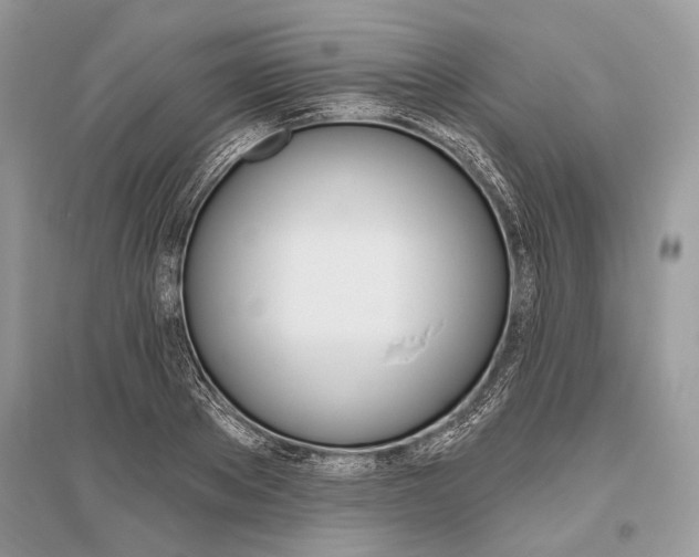 X0000096490889200801241208