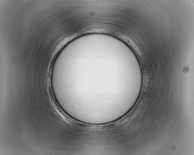 X0000096490890200801241208