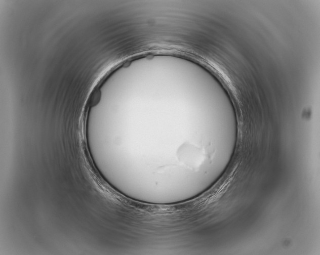 X0000096490891200801241208