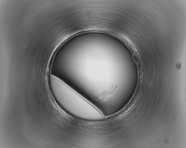 X0000096490892200801241208