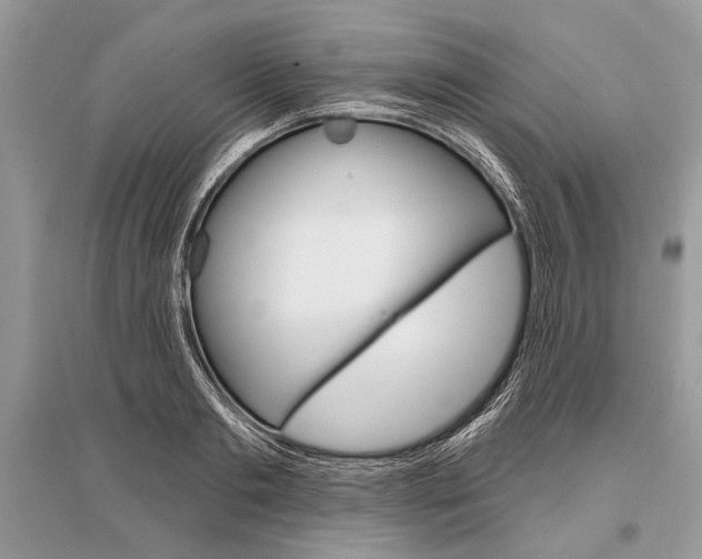 X0000096490893200801241208
