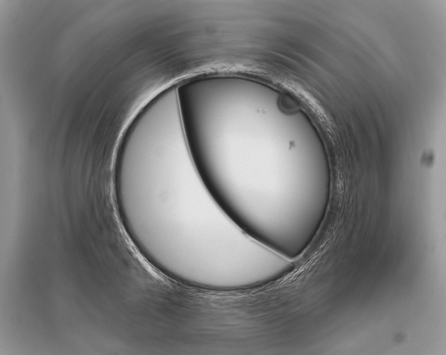 X0000096490894200801241208