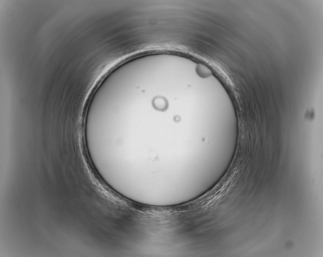 X0000096490895200801241208