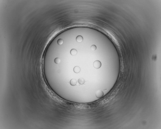X0000096490899200801241208