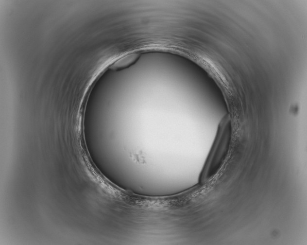 X0000096490900200801241208