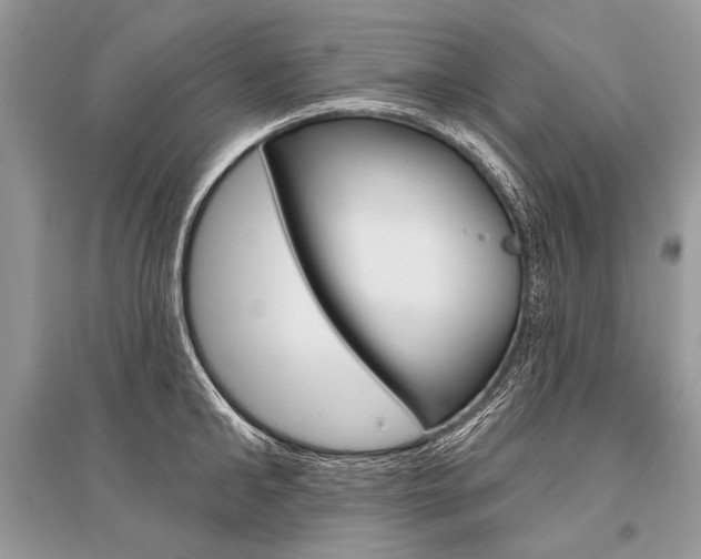 X0000096490902200801241207