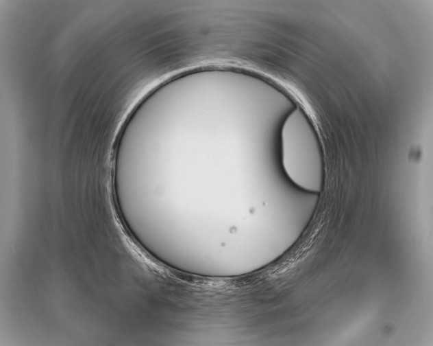 X0000096490903200801241207