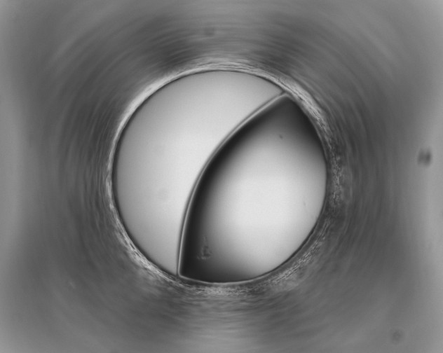 X0000096490904200801241207