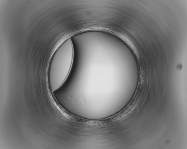 X0000096490906200801241207