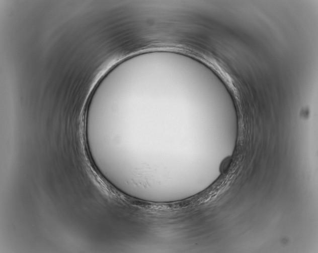 X0000096490907200801241207
