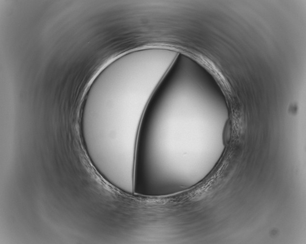 X0000096490908200801241207