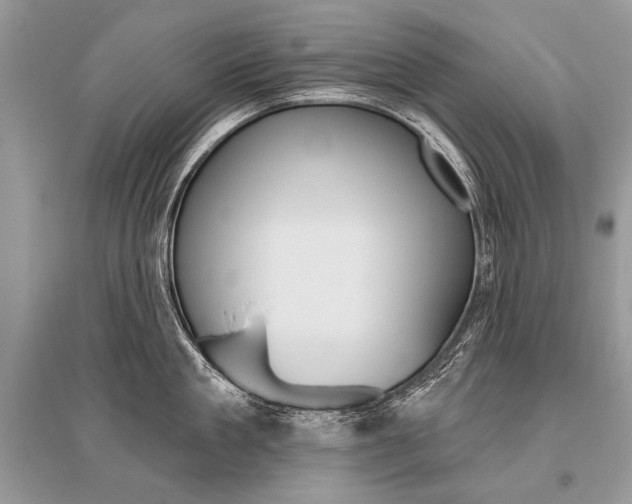 X0000096490909200801241207