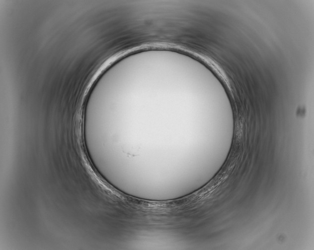 X0000096490911200801241207