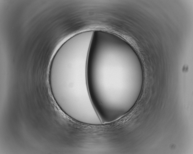 X0000096490912200801241207