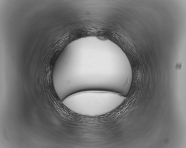 X0000096490914200801241207