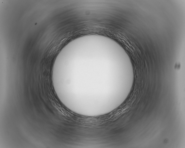 X0000096490916200801241207