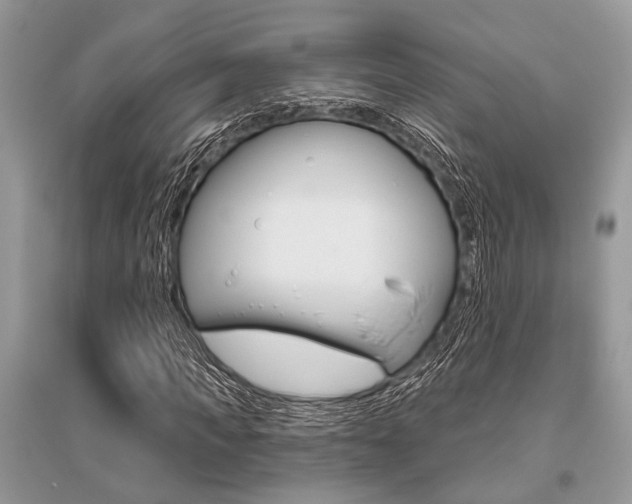 X0000096490917200801241207