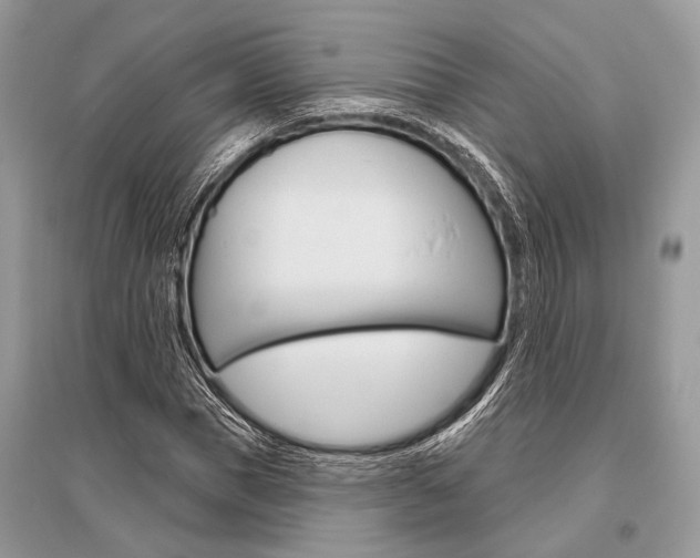 X0000096490921200801241207