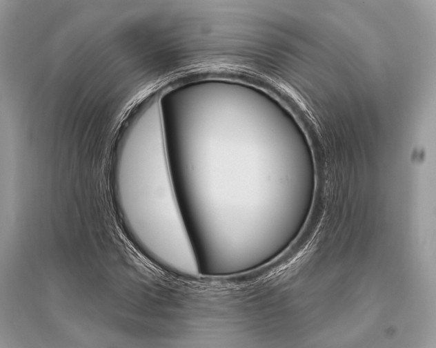 X0000096490922200801241207