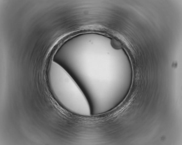 X0000096490923200801241207