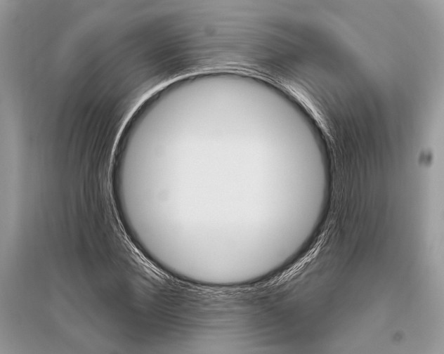 X0000096490924200801241207