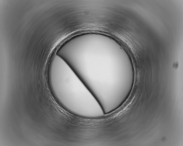 X0000096490925200801241207