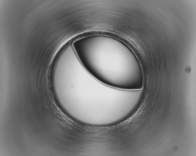 X0000096490926200801241207