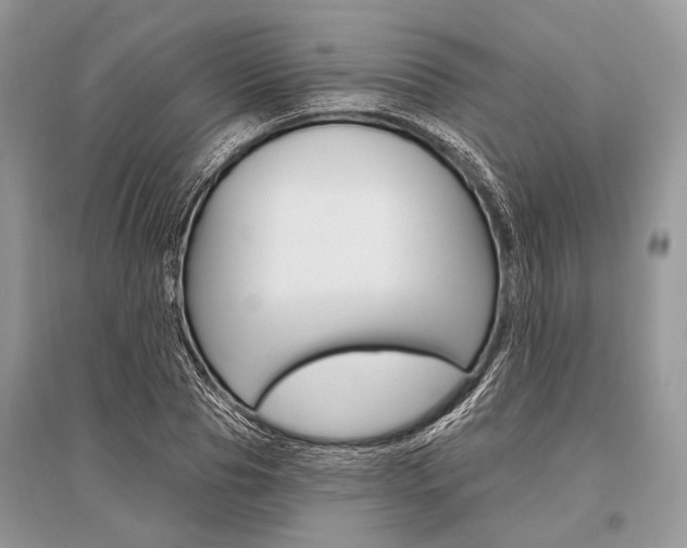 X0000096490929200801241207