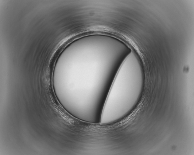 X0000096490931200801241207