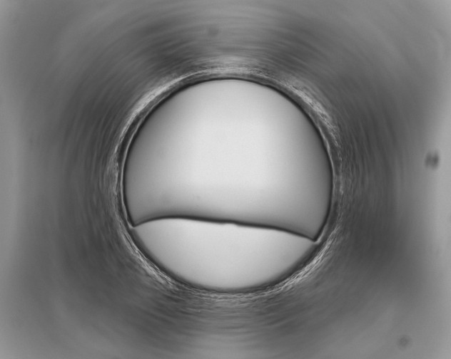X0000096490933200801241207
