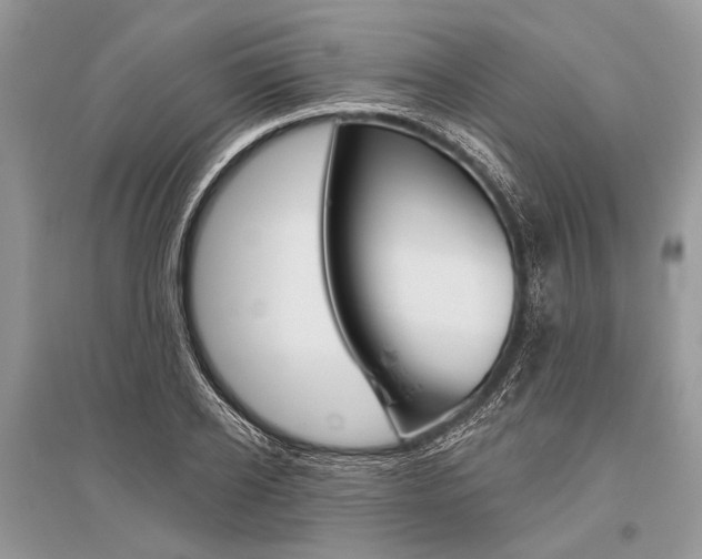 X0000096490934200801241207