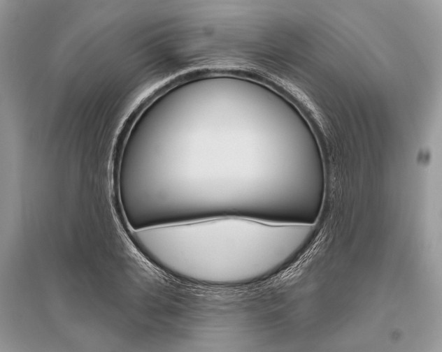X0000096490935200801241207