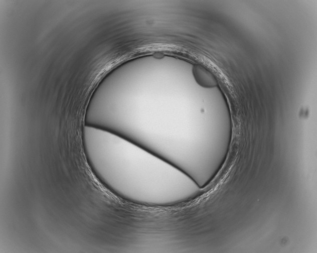 X0000096490937200801241207