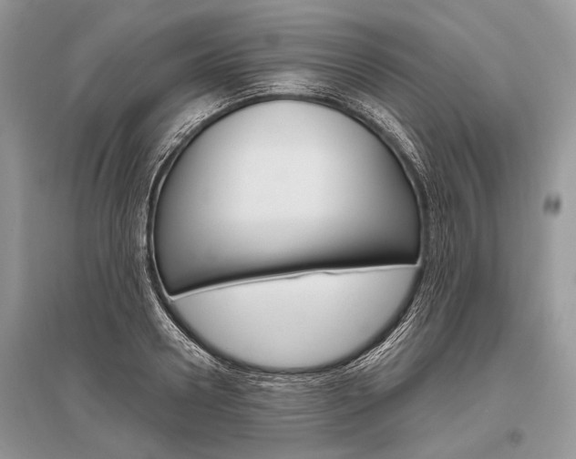 X0000096490938200801241207