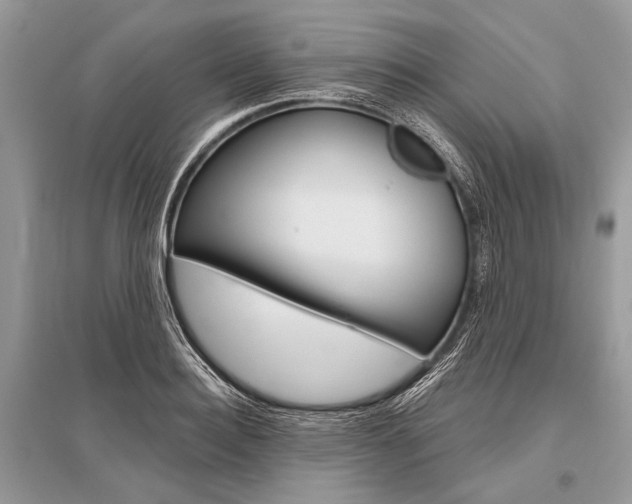 X0000096490940200801241207