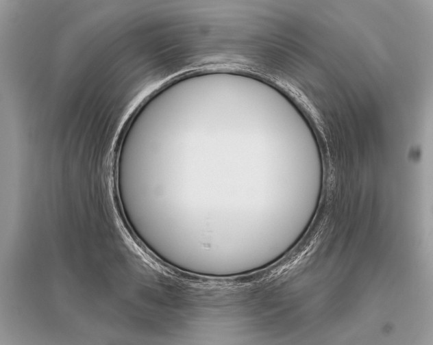 X0000096490941200801241207