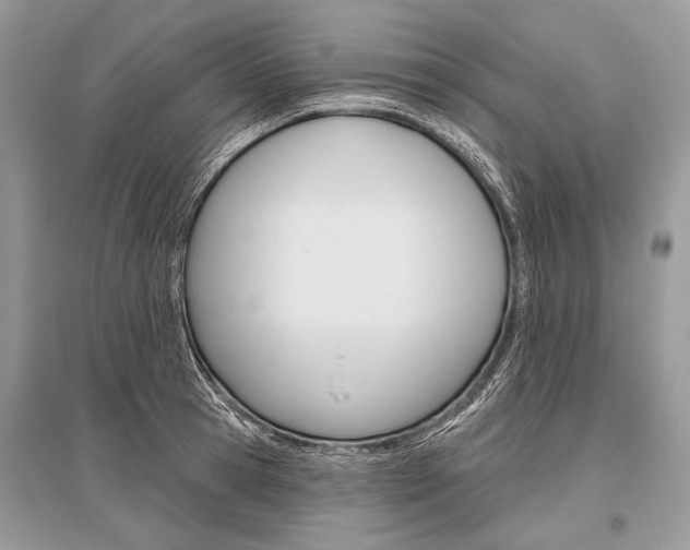 X0000096490945200801241207