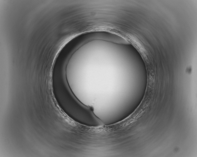 X0000096490948200801241207