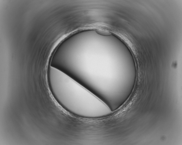 X0000096490949200801241207