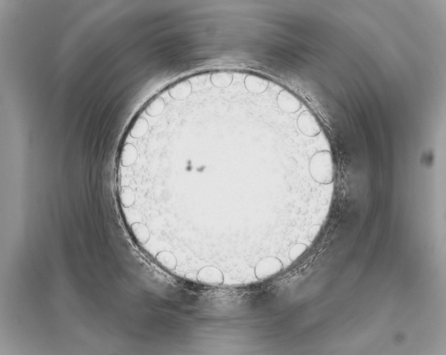 X0000096490950200801241207
