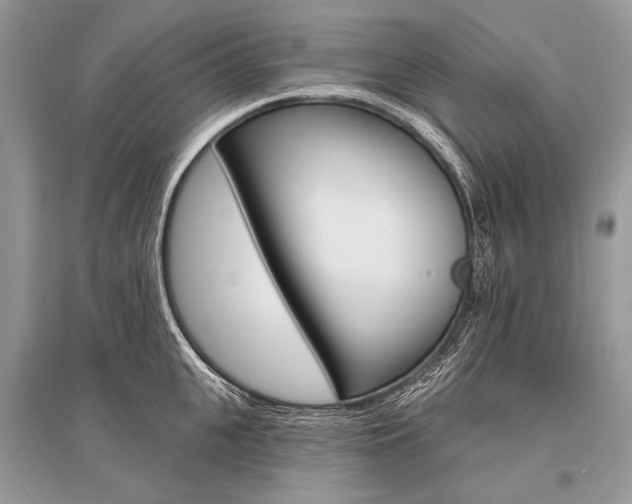 X0000096490951200801241207