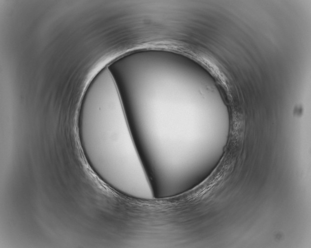 X0000096490952200801241207