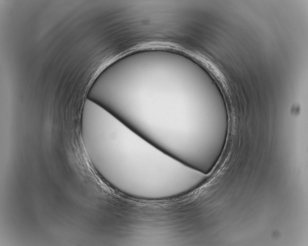 X0000096490953200801241207