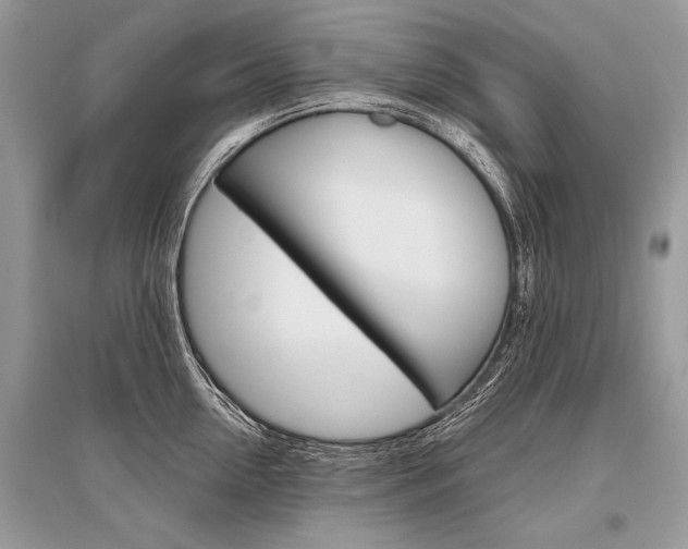 X0000096490954200801241207