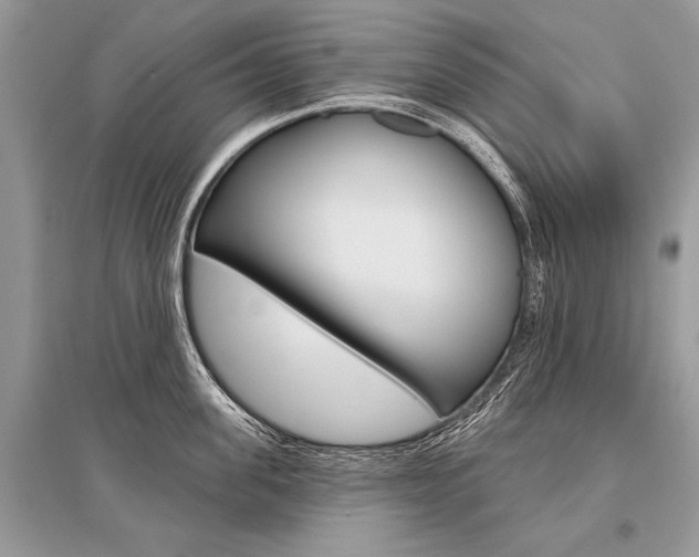 X0000096490955200801241207