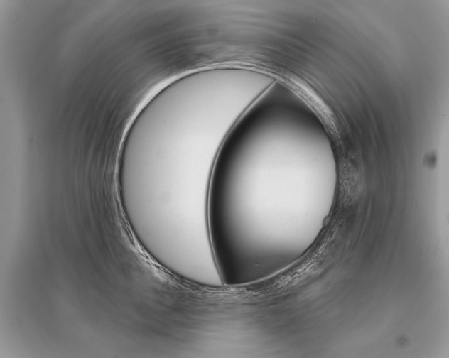 X0000096490956200801241207