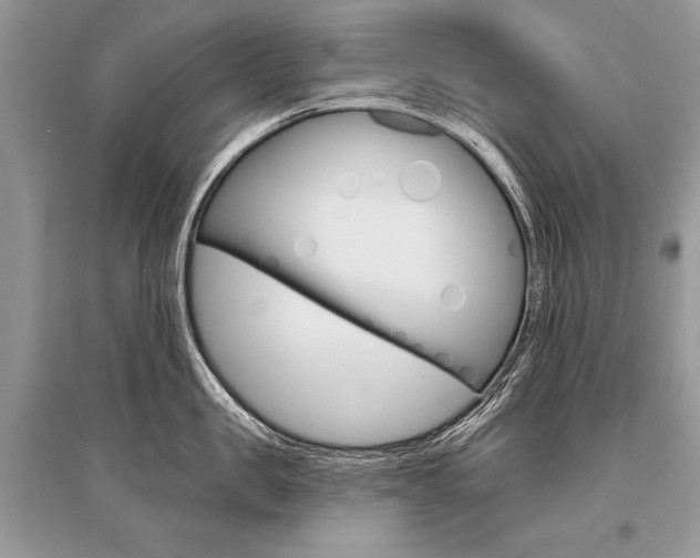 X0000096490957200801241207