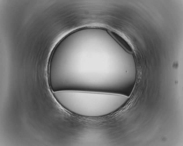 X0000096490959200801241207