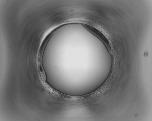 X0000096490960200801241207